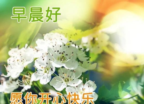 阳光带给我们的温暖和希望（阳光带给我们的温暖和希望）