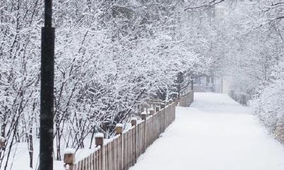 雪的唯美经典句子（在洁白的世界中流连忘返）