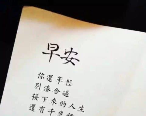 《学习之花绽放》