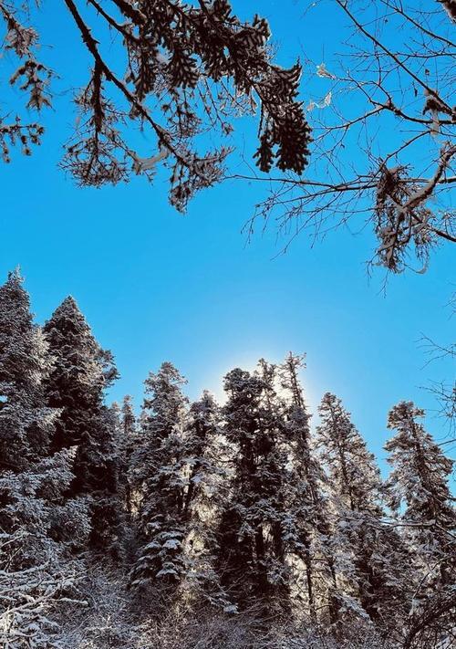 雪落寒风里，温暖人心事（一个人的寂寞）