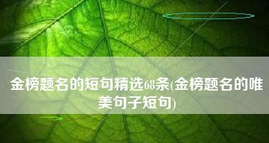 追逐梦想的路上放飞希望（以收获梦想为目标）