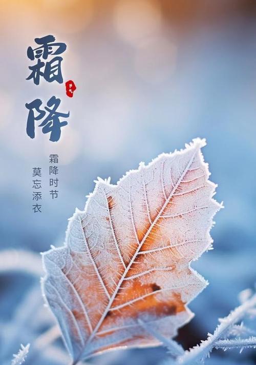 《霜降染冬衣，尘雪落葳蕤》