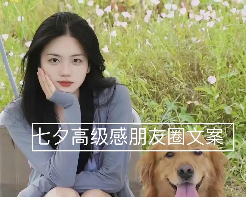 唯美短句，祝福飘洒（唯美短句）