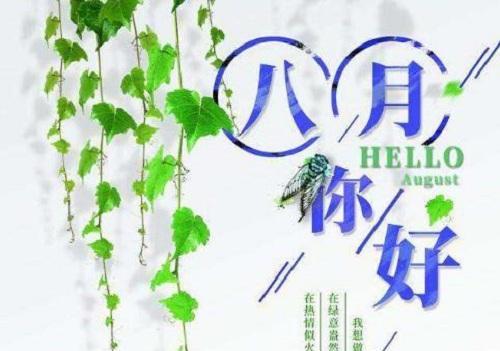 《八月的花香》——用美丽的花朵寄托情感