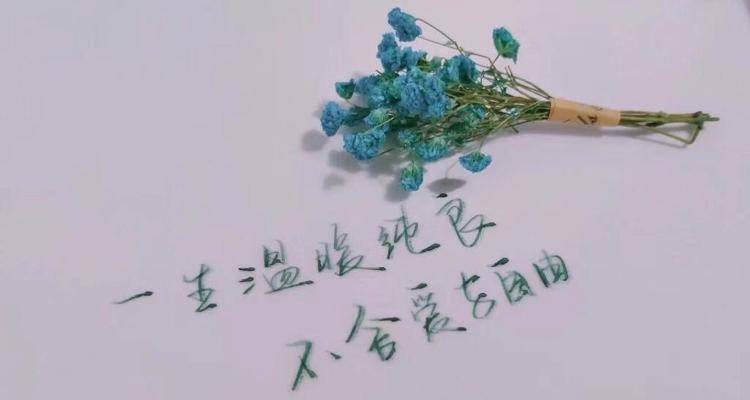 心静如水，感受宁静与美好（用唯美短句描绘内心世界）