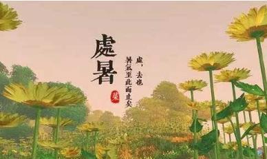 每一份美好都值得珍惜（每一份美好都值得珍惜）