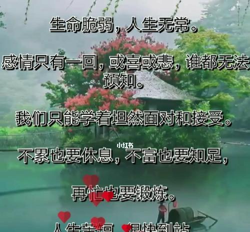 唯美句子赏析（唯美句子赏析）