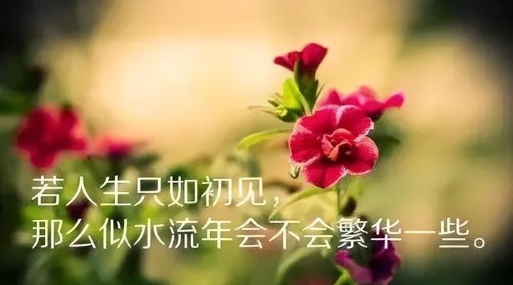 灿烂人生（用唯美的短句）