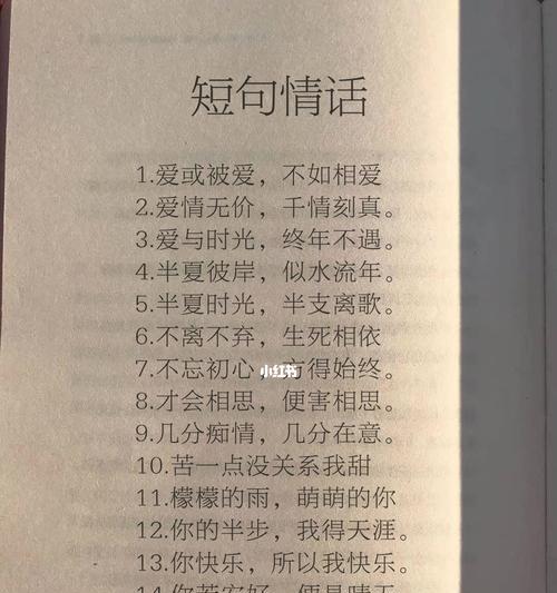 用心传递爱意，25段高级情话唯美句子（让爱在这短句中绽放）