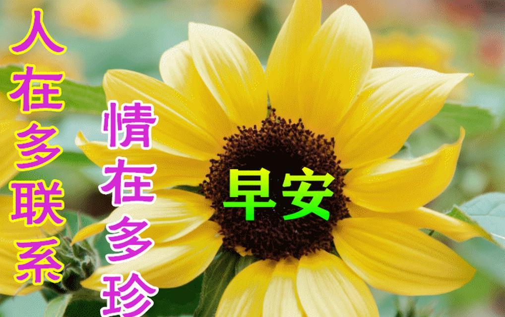 早晨暖心，感受生活美好（25句唯美短句）