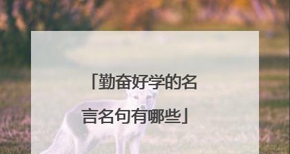 好学的美丽：用经典唯美之句探索知识世界