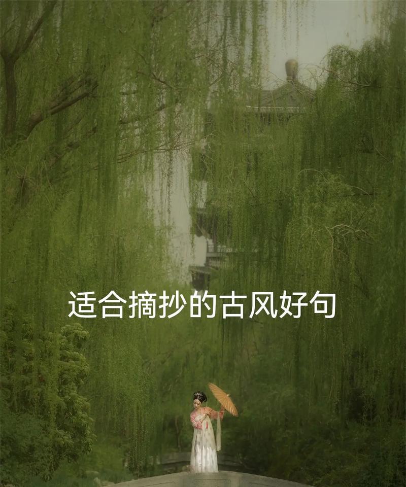 《摘抄经典，寻找唯美》