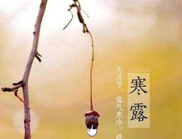 寒露节气祝福短句（用短信传递真诚）