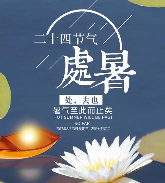 《暑去秋来，花开花谢》